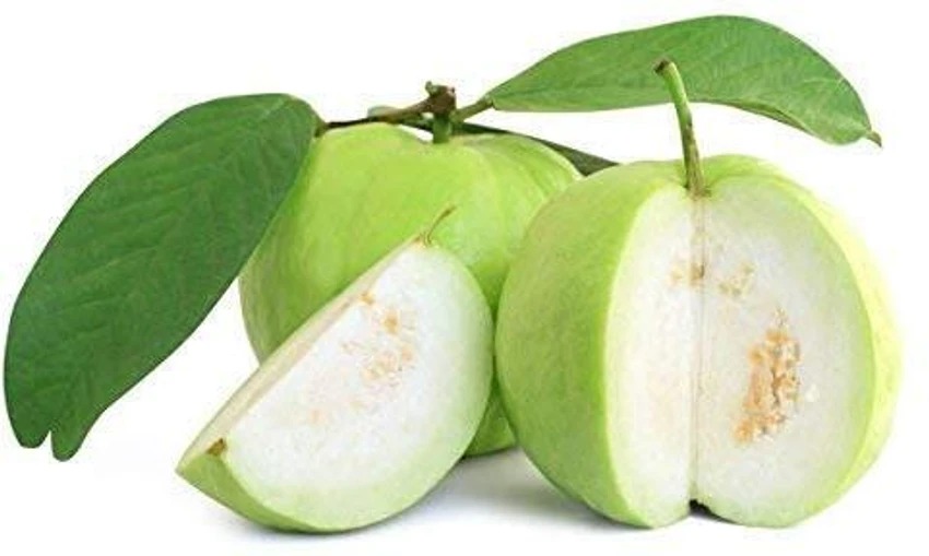 Thai 7 Guava (THA)
